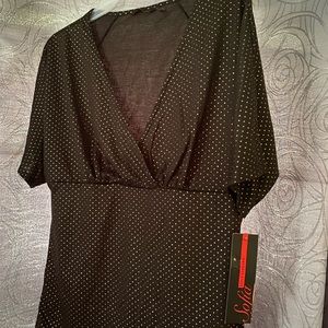 Sofia Vergara V-Neck Top